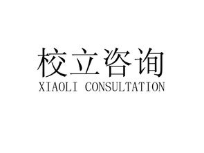 專業商務信息咨詢服務 成都校立商務信息咨詢有限責任公司的核心價值與實踐