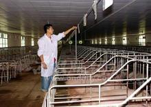 中國(guó)最大養(yǎng)豬場(chǎng)在哪里？