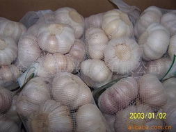 金鄉縣恒興蒜業 匠心耕耘，打造多元化高品質農副產品矩陣