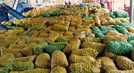 黃龍 探索農副產品“鏈式發展”，激活產業“聚變效應”