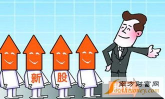 延江股份(300658)中簽率查詢、中簽號公布時間及技術服務解析